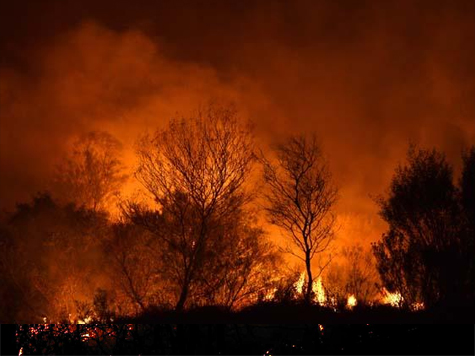 PREVENÇÃO DE INCÊNDIOS FLORESTAIS | AÇÕES DE SENSIBILIZAÇÃO