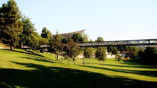 NOVOS ATOS DE VANDALISMO REGISTADOS NO PARQUE CORGO