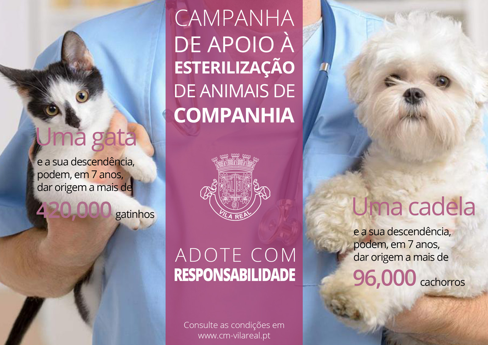 camp esterilizacao