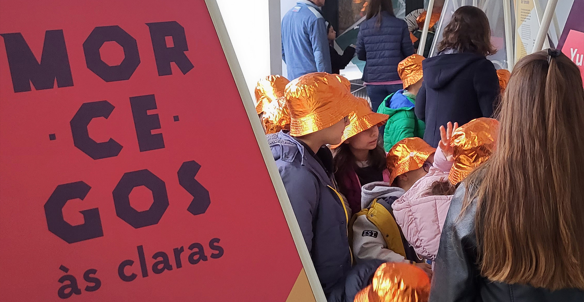 EM SEMANA DE HALLOWEEN MUNICÍPIO DE VILA REAL INAUGURA “MORCEGOS ÀS CLARAS”