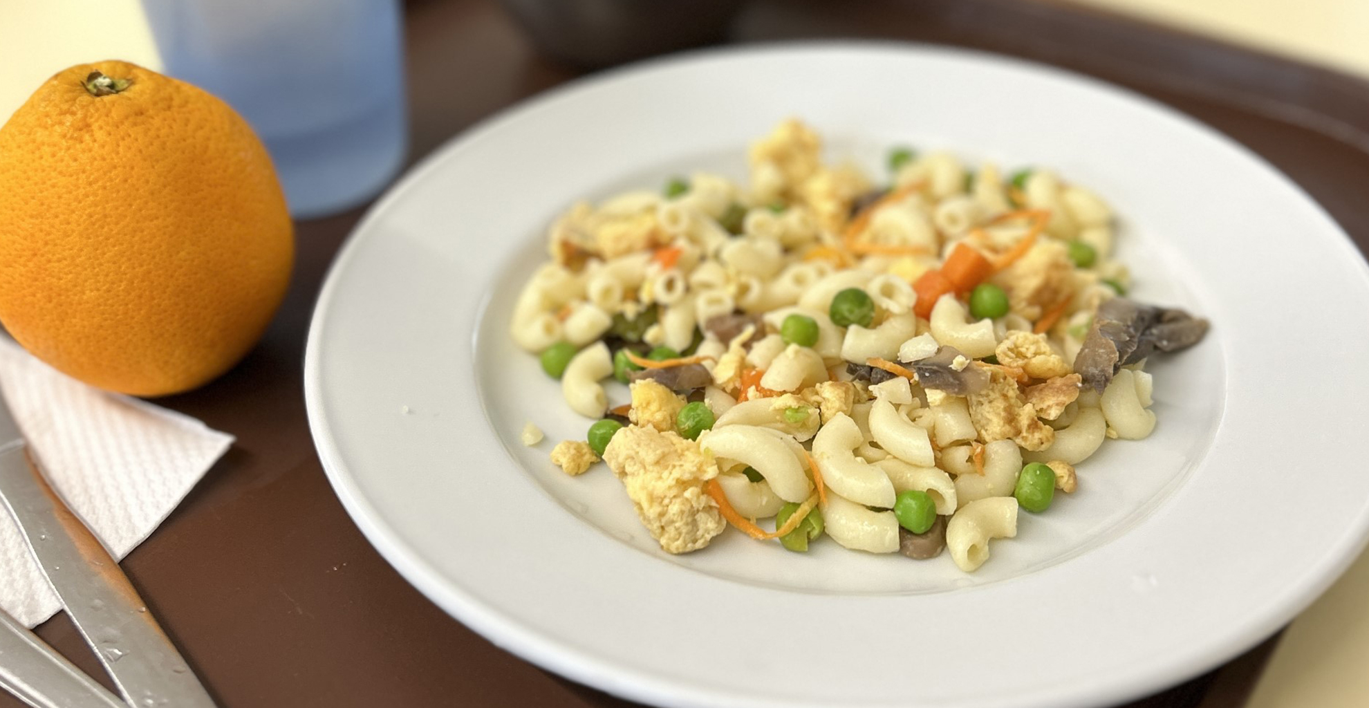 MUNICÍPIO IMPLEMENTA REFEIÇÃO OVOLACTOVEGETARIANA MENSAL NAS ESCOLAS