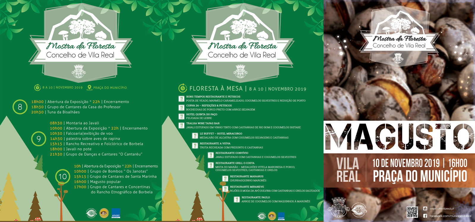 Mostra floresta 2019