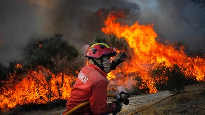 APROVADO MAIS DE MEIO MILHÃO DE EUROS PARA DEFESA DA FLORESTA CONTRA INCÊNDIOS