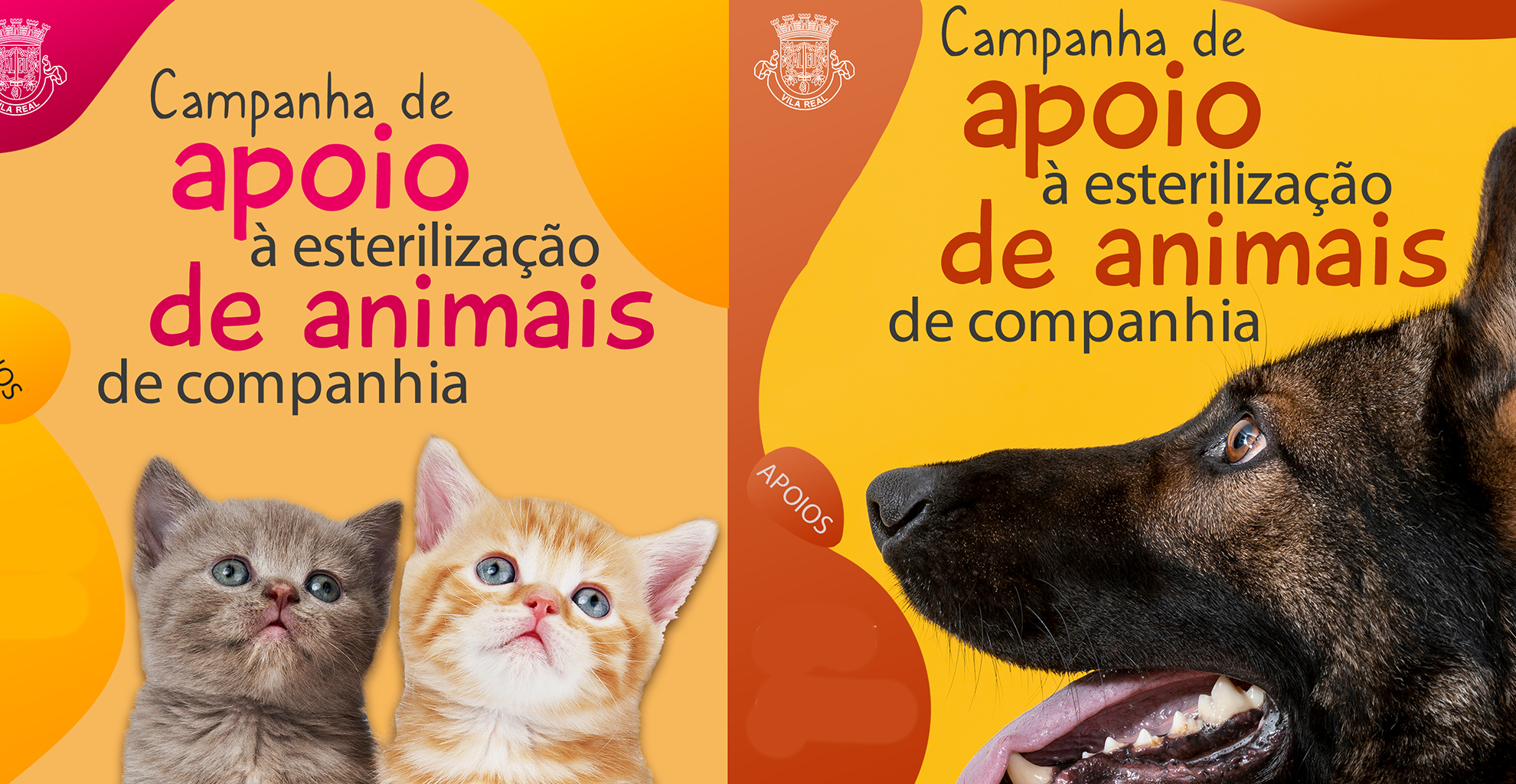 MUNICÍPIO DE VILA REAL CRIA FORMULÁRIO PARA AVISAR MUNÍCIPES SOBRE A CAMPANHA DE APOIO À ESTERILIZAÇÃO 2026
